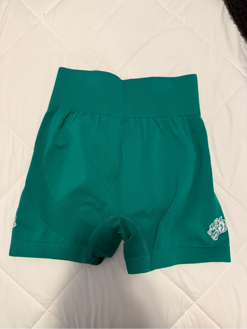 Darc Sport Teal Green Athletic Shorts